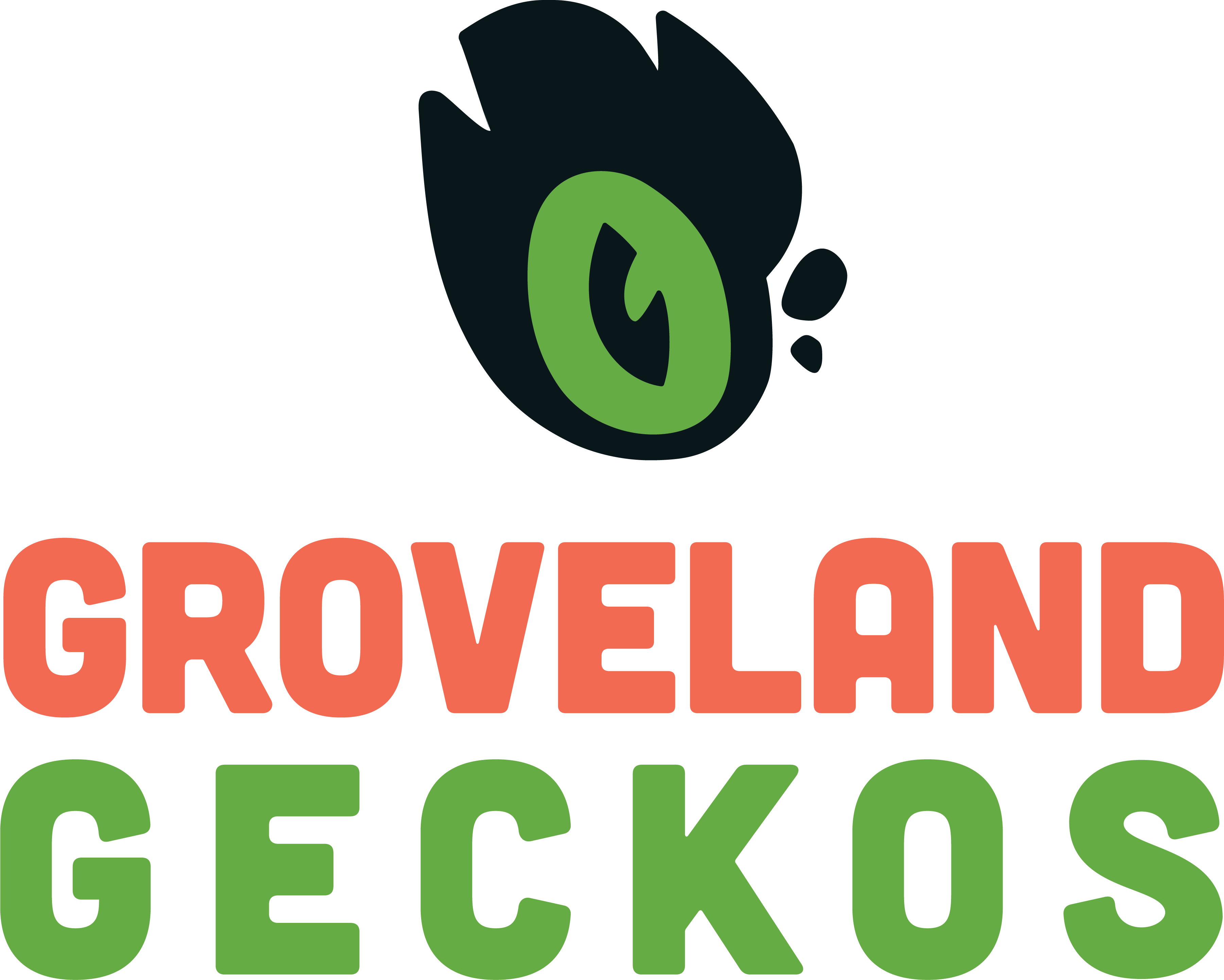 Groveland Gecko Eye Keychain Merch