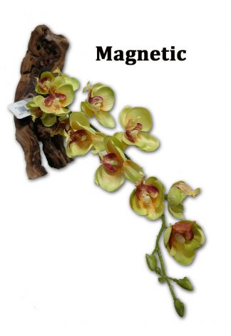 16″ Yellow Orchid Magnatural Magnatural Magnetic Ledges