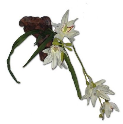 15″ White Orchid Magnatural Magnatural Magnetic Ledges