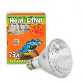 Pangea Halogen Heat Lamp 50w Heat Bulbs