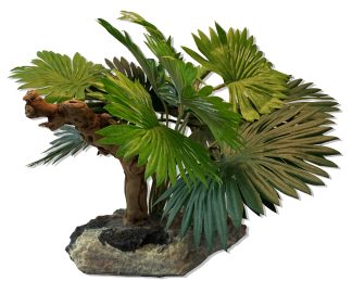 Mini Fan Palm w/ Driftwood Plants