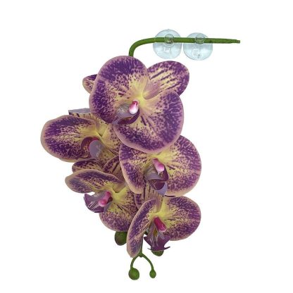 Pangea Hanging Orchids Purple & Yellow Vines